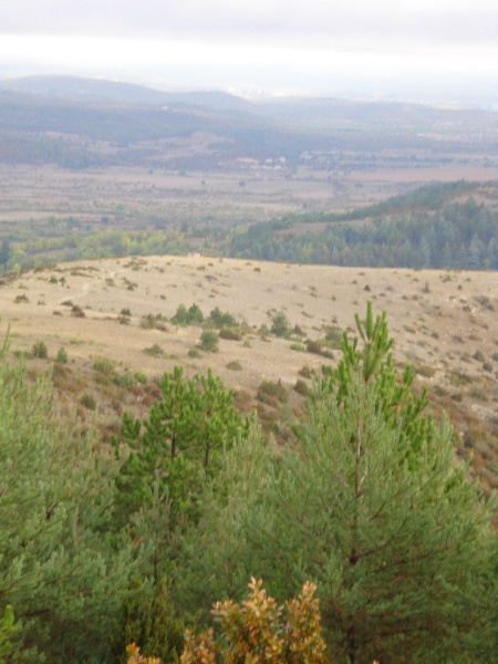 la vaquerie