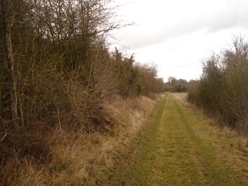 TERRAIN DE BEAUCE