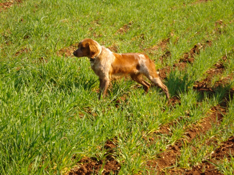 BOUBA