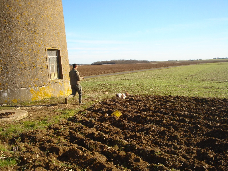 ELLA EN BEAUCE